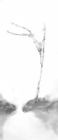 Pertiga