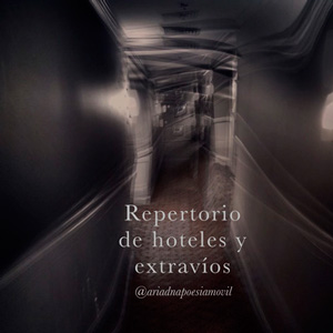 Repertorio de hoteles y extravíos