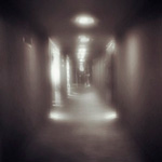 La luz de alguna otra vida